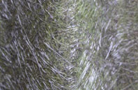 Chardleigh Green fibreglass roof work